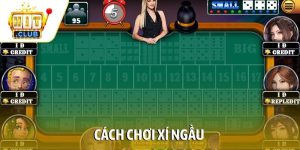 Cách chơi xí ngầu