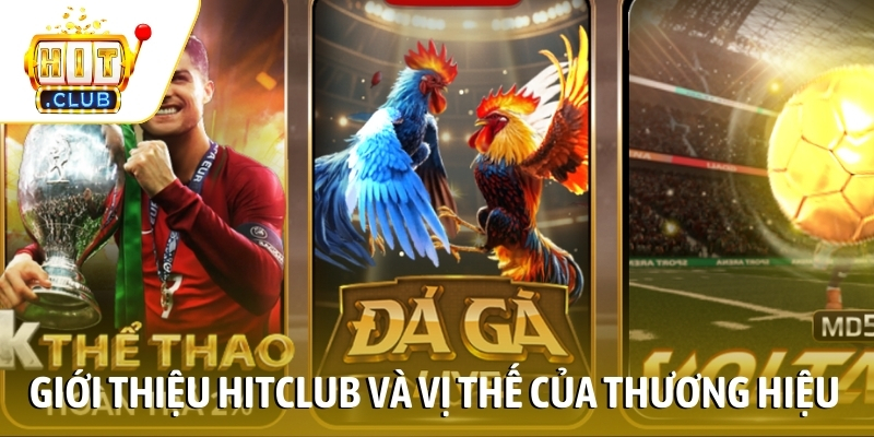 Giới thiệu HITCLUB và vị thế của thương hiệu