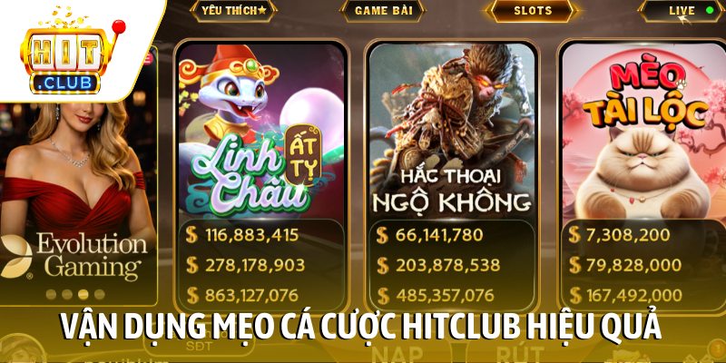 Vận dụng mẹo cá cược HITCLUB hiệu quả